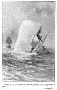 Moby_Dick_p510_illustration